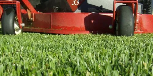 Commercial Lawn Maintenance