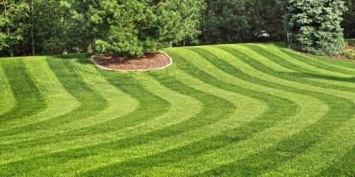 Lawn Care, Lawn Mowing, Grass Cutting, Lawn Maintenance, Lawn Care Business