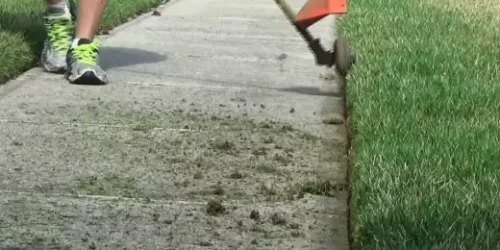 Commercial Lawn Maintenance